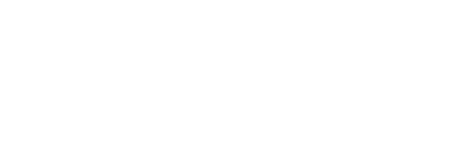 Oiva-raportti